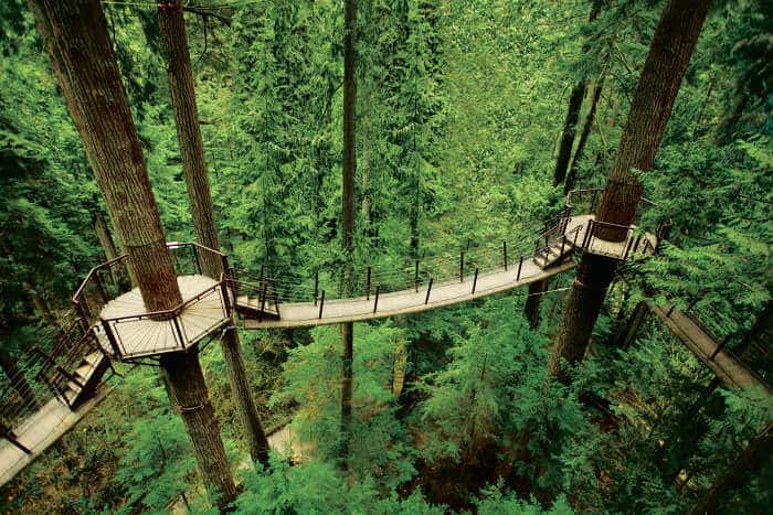 Things to do in Vancouver Canada Capilano suspension Bridge