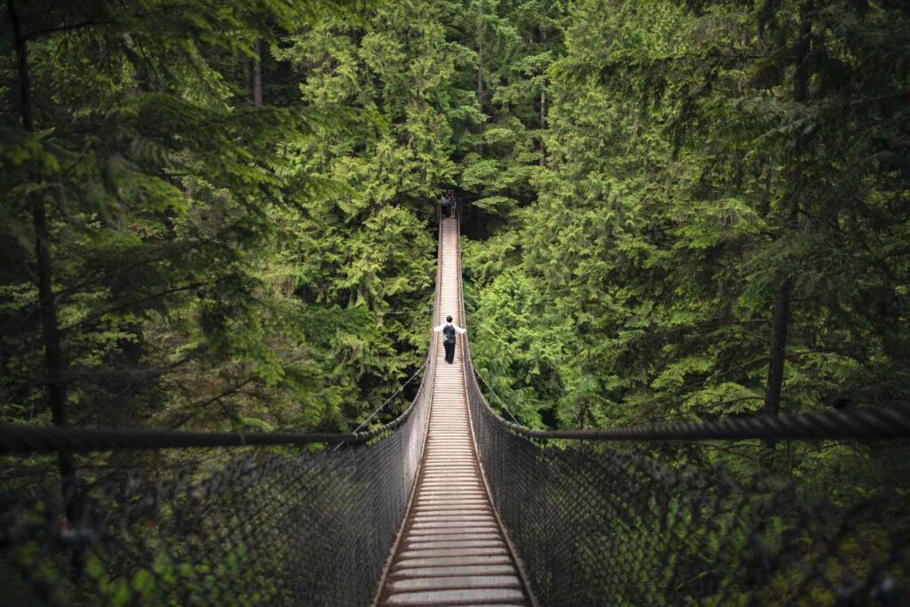 Things to do in Vancouver Canada Hike Lynn Canyon